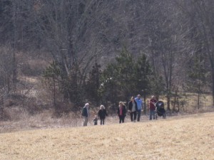 Groups walked the land on the trails through the meadow