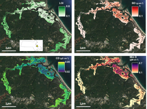 Maps of tidal marsh soil properties to quantify blue carbon and resilience metrics for salt marshes