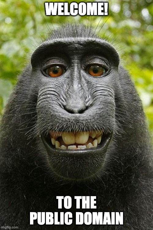 "Monkey Selfie" image, with "Welcome to the Public Domain" text.