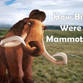 How big were mammoths?