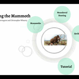 Mammoth Hunting