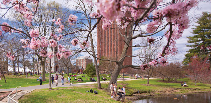 Photo of campus in spring