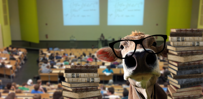 Cow face with glasses on the front, with a classroom on the background and a books at the side.