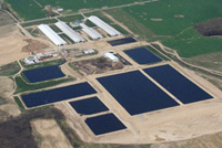 Constructed Wetlands for Factory Farm Wastewater Treatment