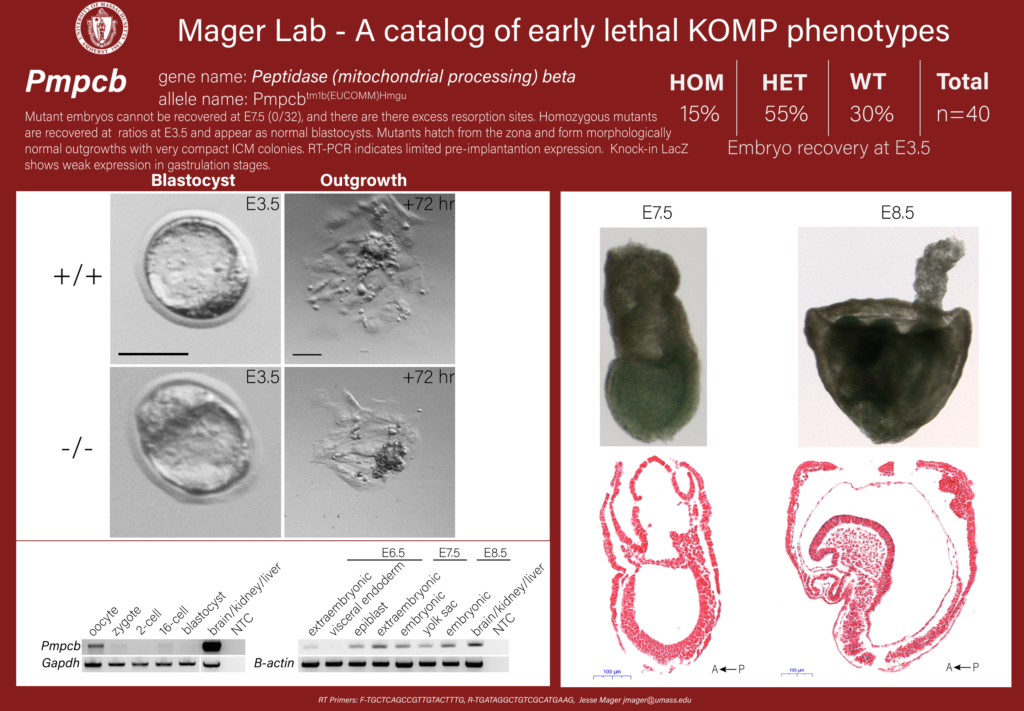 knockout mouse embryo Pmpcb phenotype