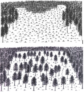 [Untitled Diagrams of Clearcutting and Partial-Harvesting]. Retrieved November 10, 2014, from: http://www.nrs.fs.fed.us/fmg/nfmg/fm101/silv/index.htm