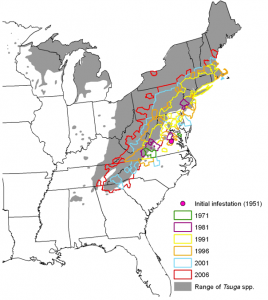 Map 1: U.S. Forest Service Forest Health and Protection’s historical spread of HWA outlined in various colors and overlayed on native range of hemlocks shown as gray shading. (http://www.nrs.fs.fed.us/disturbance/invasive_species/hwa/risk_detection_spread/