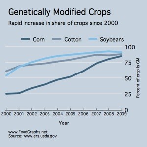 GMO graph 1