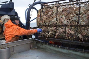 Nick McGlashan from The Deadliest Catch and the amount of king crab caught in one crab pot (Discovery Communications, LLC, 2013)